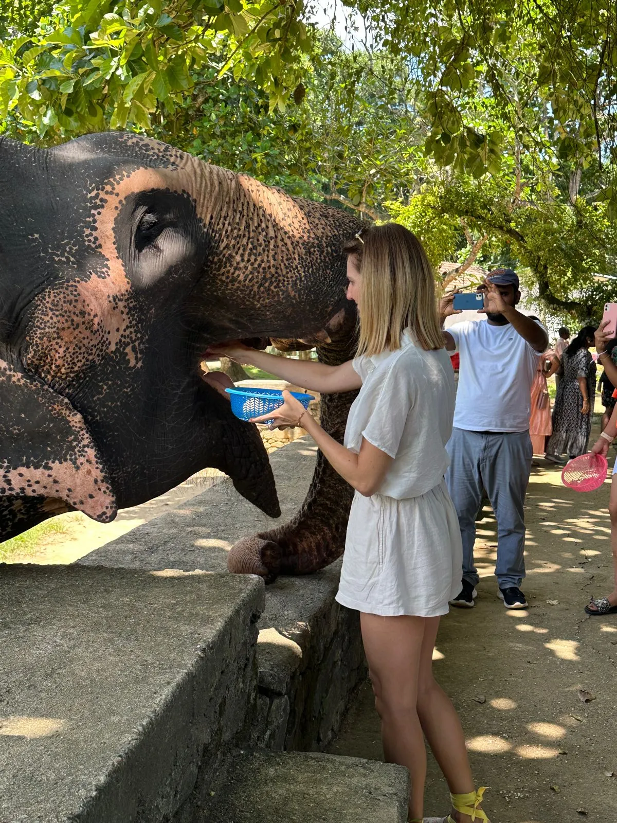 WhatsApp Image 2023 09 16 at 20.39.01