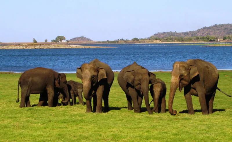 z p 05 in sync with the 01